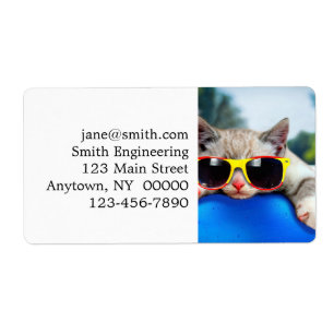 Etiqueta Gato vestindo óculos solares relaxando no colchã