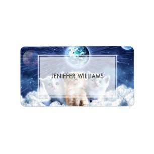 Etiqueta Gatos na nuvem