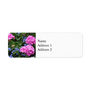 Etiqueta Geraniums e Periwinkle