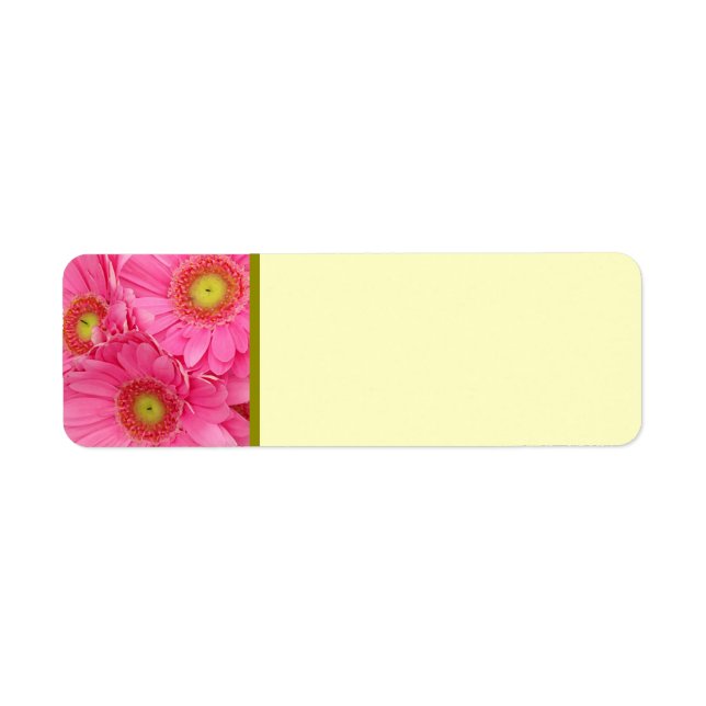 Etiqueta Gerber Daisies Rosa (Frente)
