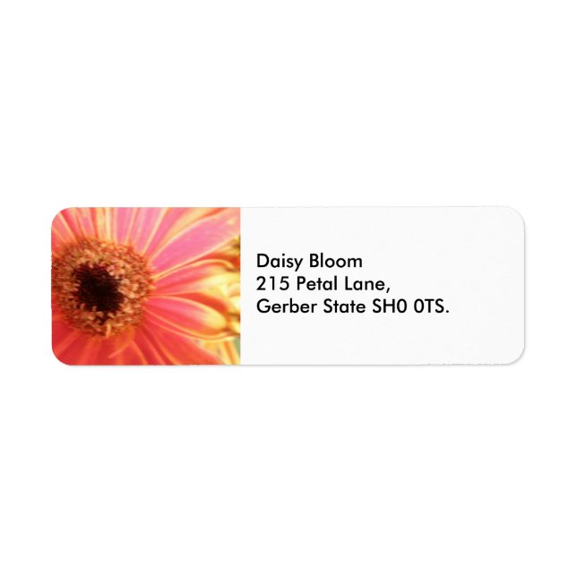 Etiqueta Gerbera Daisy Flower Address Labels (Frente)
