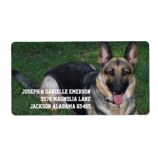 Etiqueta German shepherd (Frente)