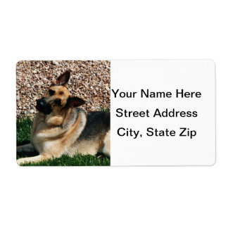 Etiqueta German shepherd