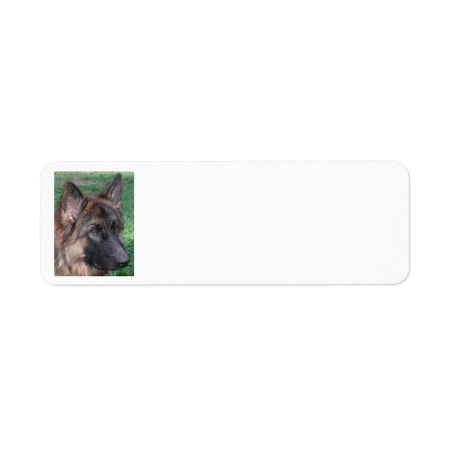 Etiqueta german shepherd (Frente)
