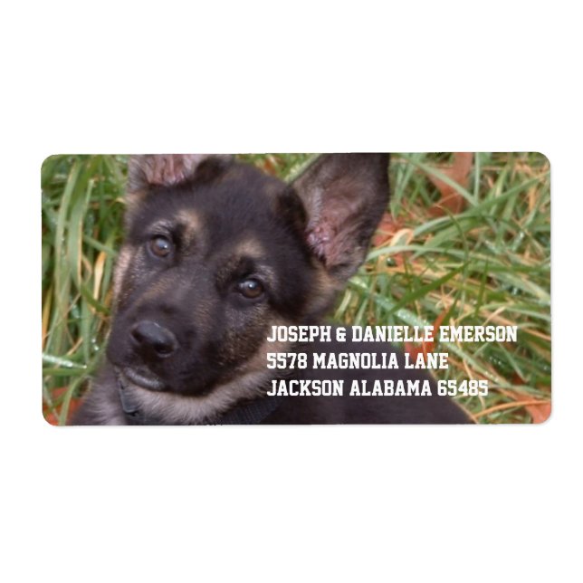 Etiqueta German Shepherd Puppy Address Labels (Frente)