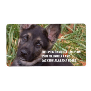 Etiqueta German shepherd Puppy Address Sticker