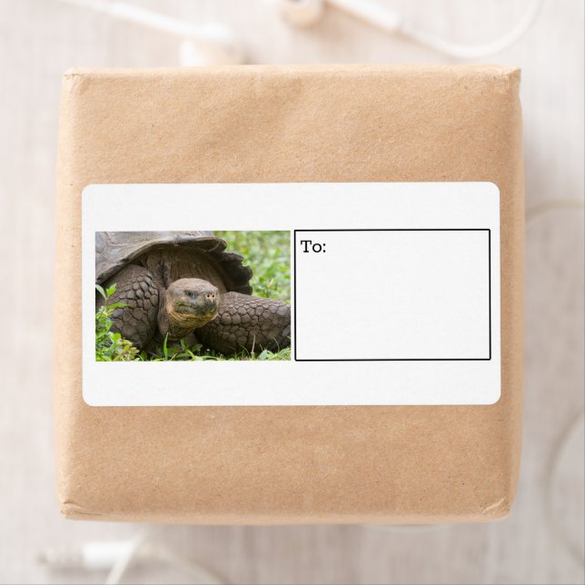 Etiqueta Giant turtle label (Insitu)
