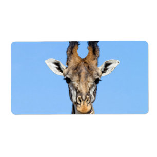 Etiqueta Girafa