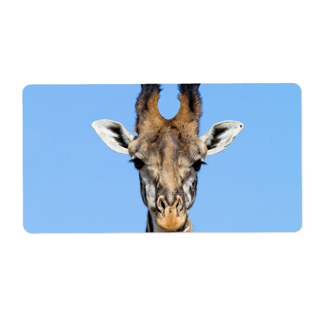 Etiqueta Girafa (Frente)