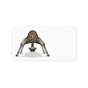 Etiqueta Girafa flexível