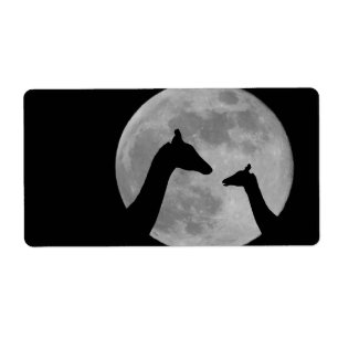 Etiqueta Girafas Na Noite De Fullmoon