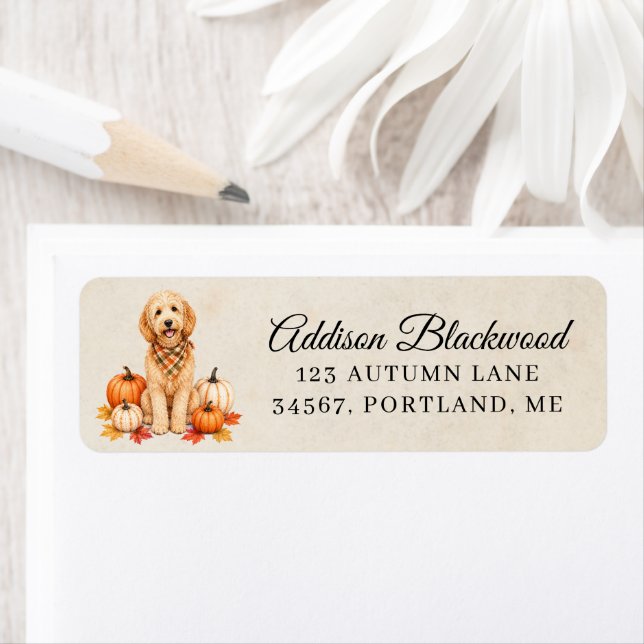 Etiqueta Goldendoodle com Abóboras de Outono (Insitu)