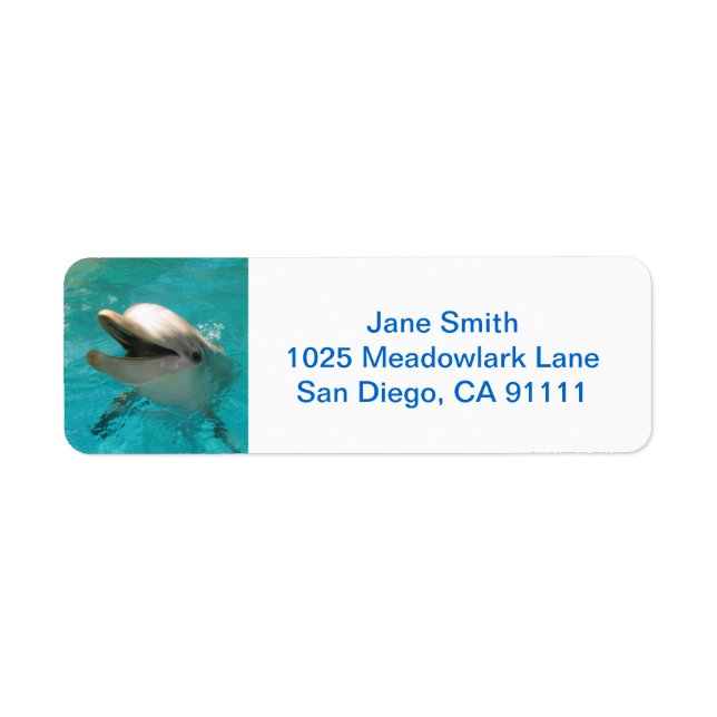 Etiqueta Golfinho sorridente (Frente)