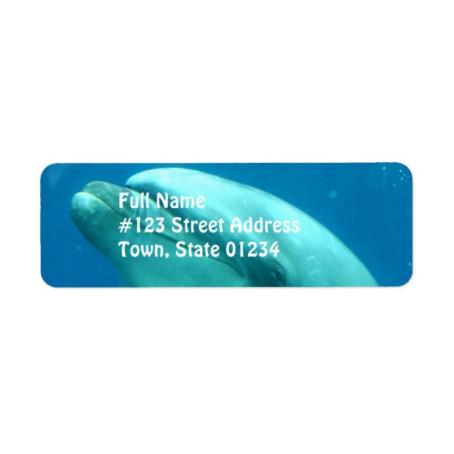 Etiqueta Golfinho submarino (Frente)