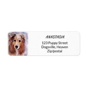 ETIQUETA GORGEOUS COLLIE