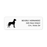 Grande Dane Dog Walker Treinador Puppy sentado