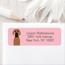 Grande Dane Fawn Dog