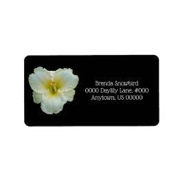 Etiqueta 'Grande Snowbird' Branco com Amarelo Daylily a Pre