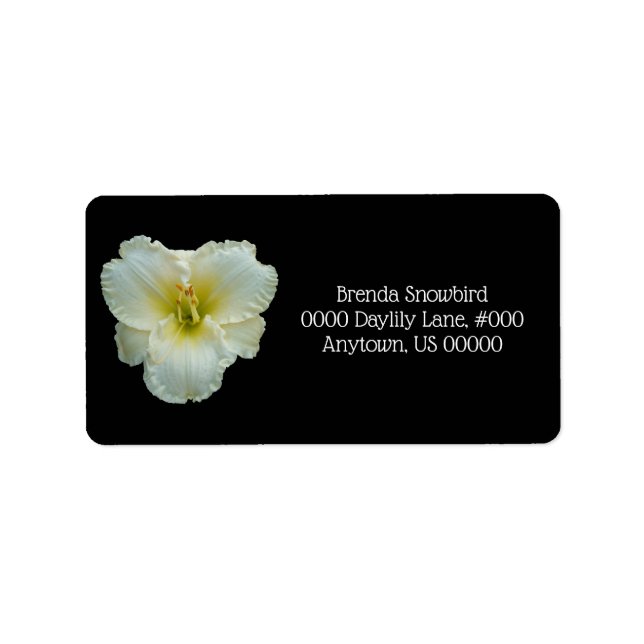 Etiqueta 'Grande Snowbird' Branco com Amarelo Daylily a Pre (Frente)