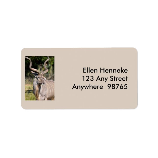 Etiqueta Greater Kudu (Frente)