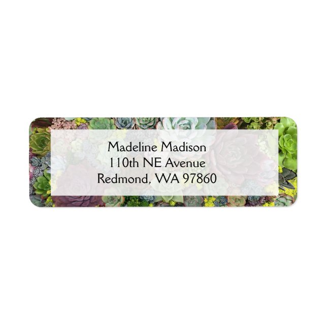 Etiqueta Greenery Succulents (Frente)
