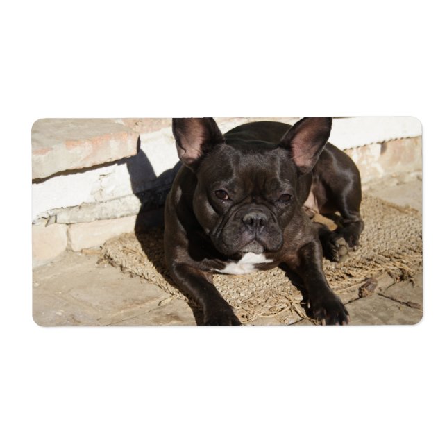 Etiqueta Grouchy French Bulddog (Frente)