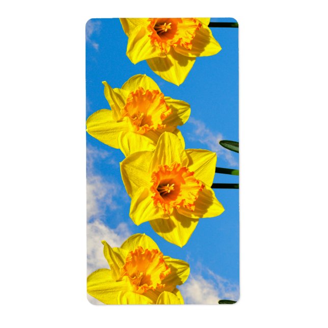 Etiqueta Grupo de Daffodils Dourados Flores Medalhadas (Frente)