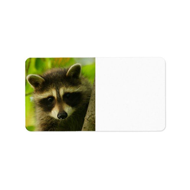 Etiqueta guaxinim (Frente)