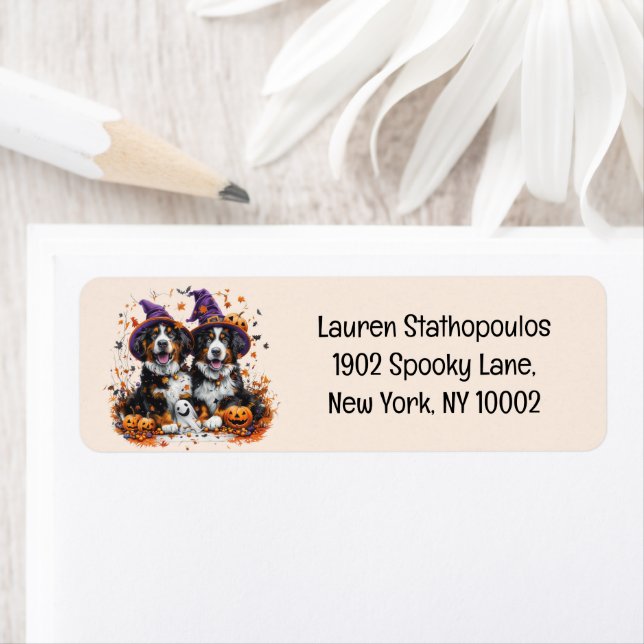 Etiqueta Halloween Bernese Mountain Dogs Witch Ghost (Insitu)