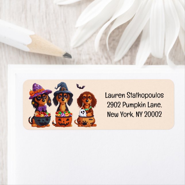 Etiqueta Halloween Dachshund Dogs Pumpkin Candy Balde (Insitu)