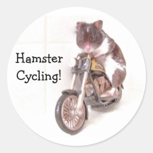 Etiqueta HamsterCycling!