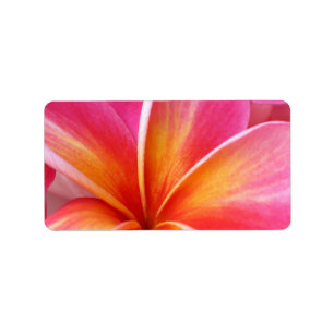 Etiqueta Hawaiian cor-de-rosa da flor de Havaí do