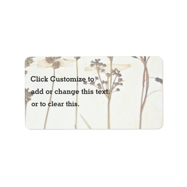 Etiqueta Herbário Em Branco (Frente)