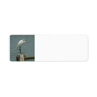 Etiqueta Heron em Piling