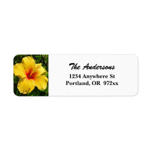 Etiqueta Hibiscus Amarelo Maui