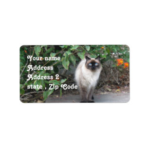 Etiqueta Himalaia Mix cat