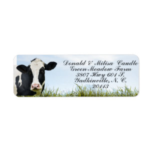 Etiqueta Holstein