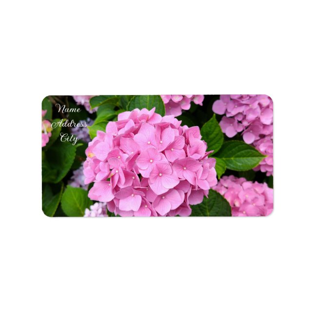 Etiqueta Hydrangea Garden Walk (Frente)