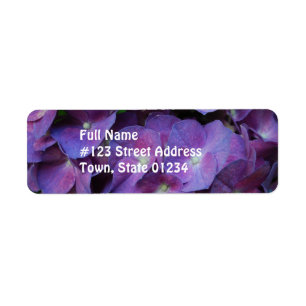 Etiqueta Hydrangea roxo