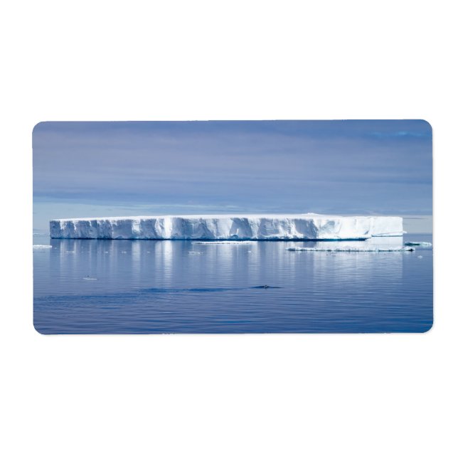 Etiqueta icebergue flutuante (Frente)