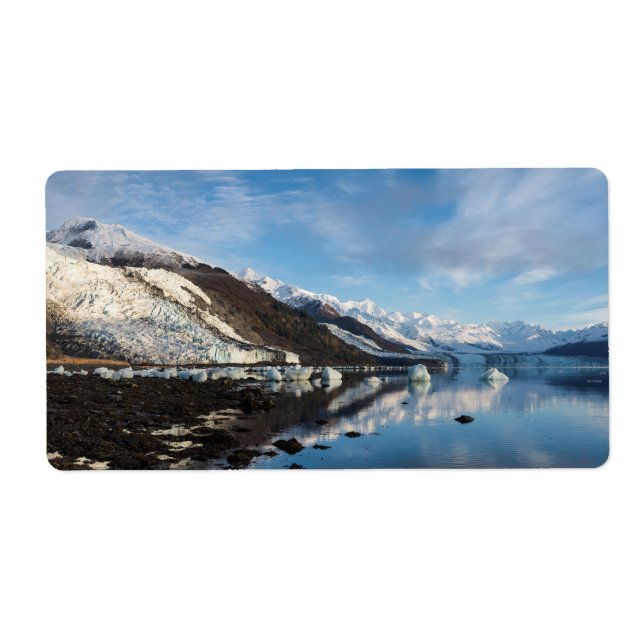 Etiqueta Icy College Fjord (Frente)