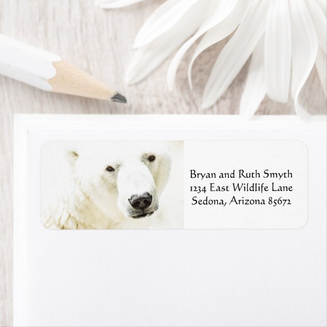 Etiqueta Icy Stare of a Polar Bear (Insitu)