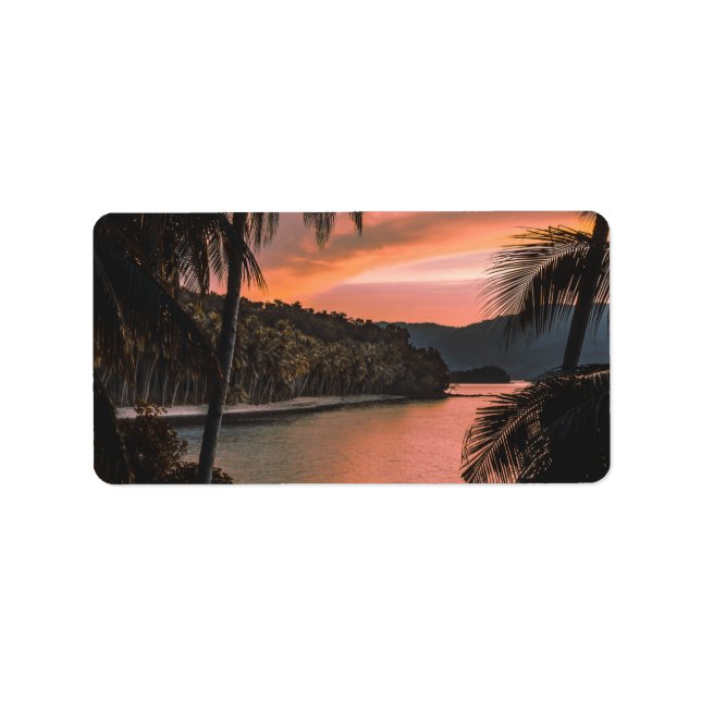 Etiqueta Ilha Tropical Noite Palm Tree Sunset (Frente)