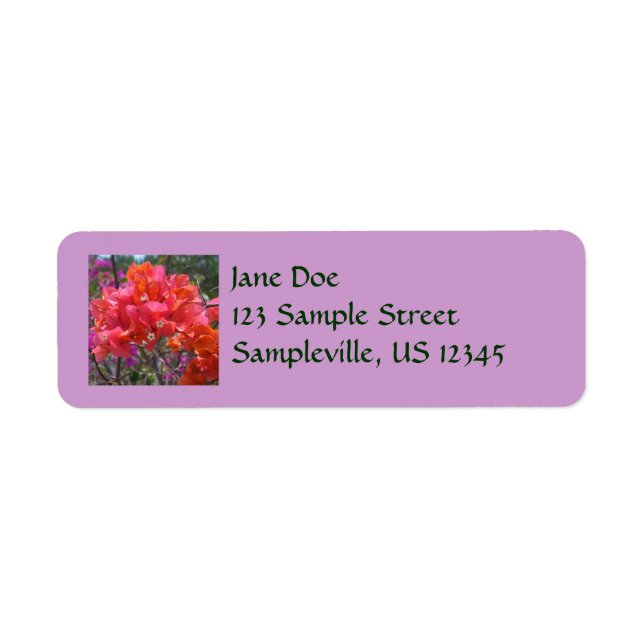 Etiqueta Ilha Tropical Rosa Bougainvillea Floral (Frente)