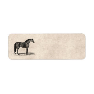 Etiqueta Ilustração árabe do cavalo dos 1800s do vintage