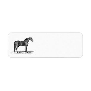 Etiqueta Ilustração árabe do cavalo dos 1800s do vintage