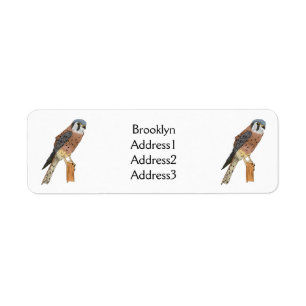 Etiqueta Ilustração de ave do Kestrel Americano