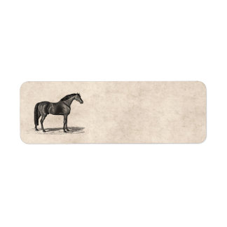 Etiqueta Ilustração de Cavalo Árabe da década de 1800 - Cav