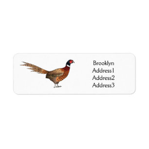 Etiqueta Ilustração de desenho animado de pheasant de pesco