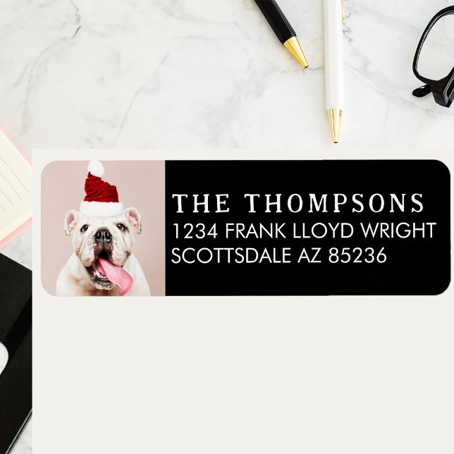 Etiqueta Imagem de Cachorro Engraçada Endereço de Devolução (Criador carregado)